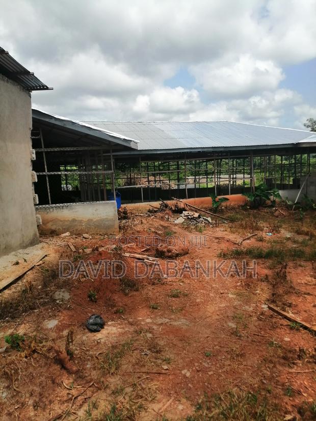 Poultry Structure and Fish Pond · Photo 2