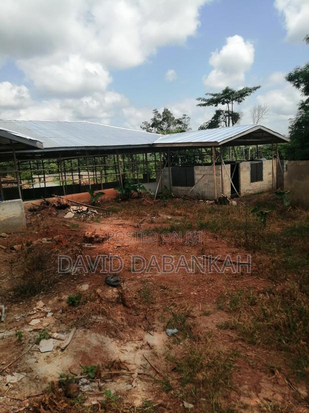 Poultry Structure and Fish Pond · Photo 3