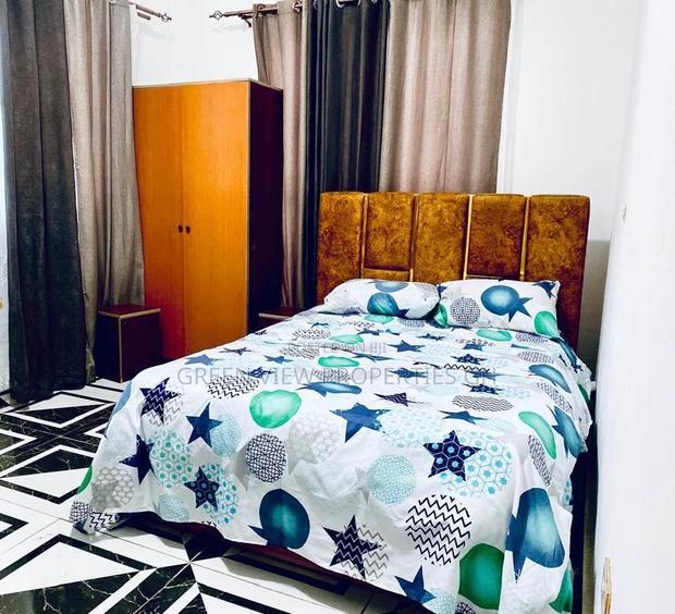 Furnished 2bdrm Duplex in Tseaddo for rent photo 8