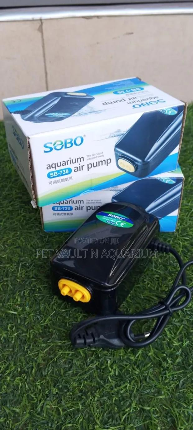 Double Outlet Sobo Pump · Photo 2