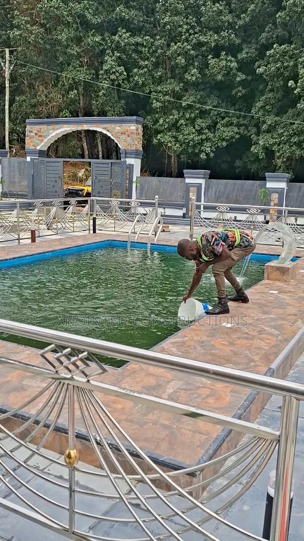 Pool Chemicals Expert, Cleaning/Vacuuming · Photo 4