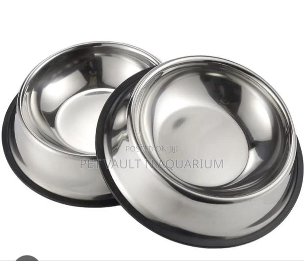 Quality Feeding Bowl for Dogs · Photo 2