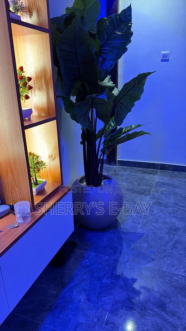 Rainbow Taro Artificial Plant photo 3