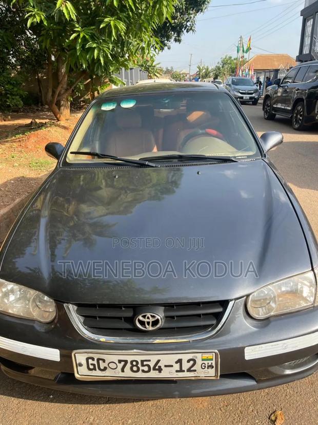 Toyota Corolla 2001 Gray