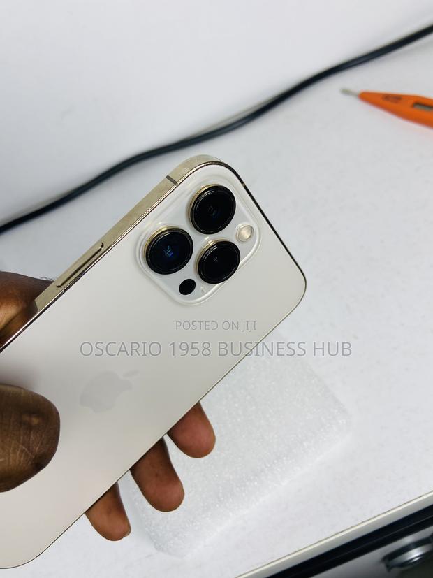 Apple iPhone 13 Pro Max 256 GB Gold