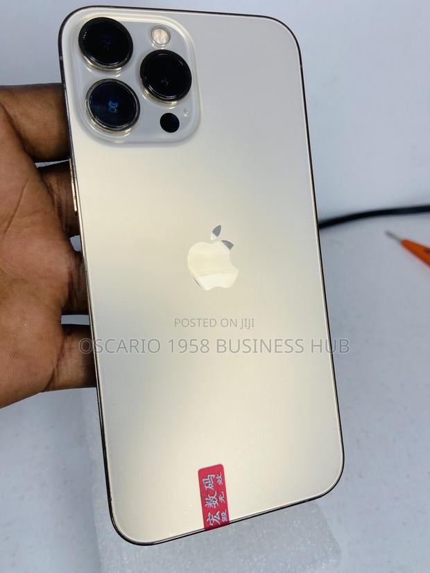 Apple iPhone 13 Pro Max 256 GB Gold photo 4