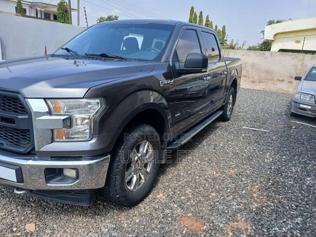 Ford F-150 2017 Gray