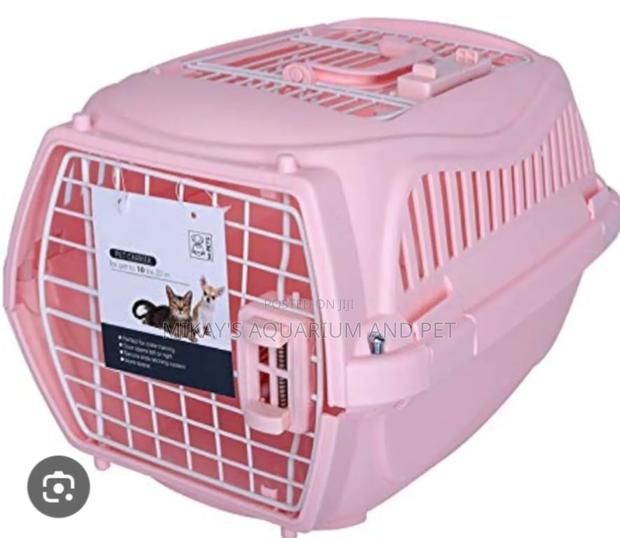 Beautiful Dog and Cat Plastic Crate · Photo 2