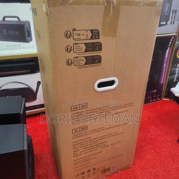 W-king T12 Bass Blasting Party Box photo 4