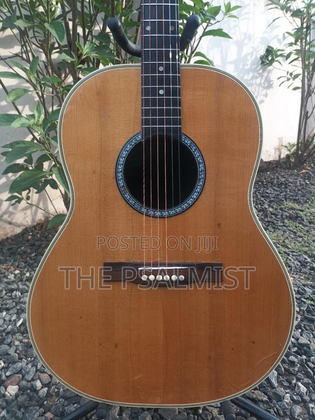 Ovation 08371 Customized Acoustic Guitar photo 2