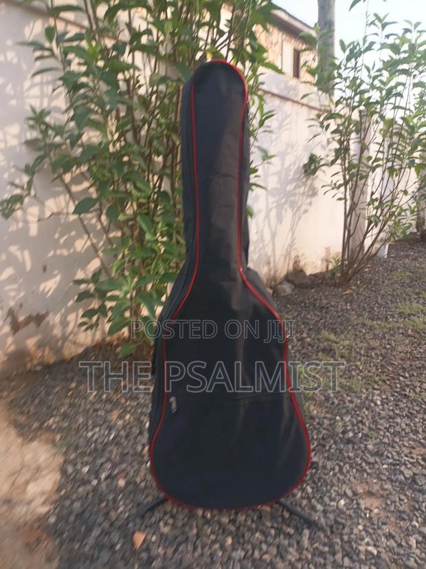Ovation 08371 Customized Acoustic Guitar photo 9