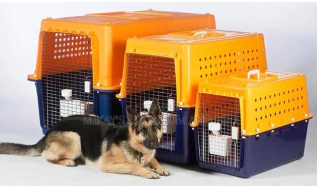 Strong Plastic Dog And Cat Create · Photo 2