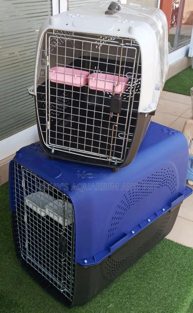 Extra Large Plastic Dog Cage · Photo 2