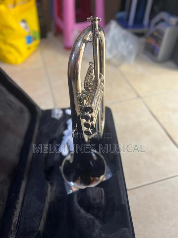 Flugelhorn Male · Photo 2