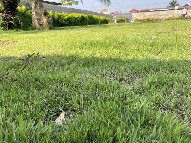 Event Center Garden | Green Grass | Weddings Parties | for Rent photo 2