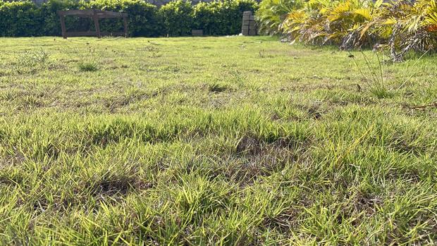Event Center Garden | Green Grass | Weddings Parties | for Rent photo 4