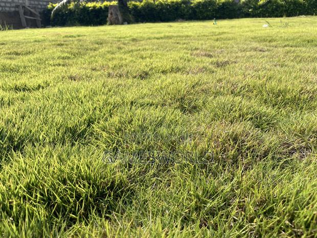 Event Center Garden | Green Grass | Weddings Parties | for Rent photo 3