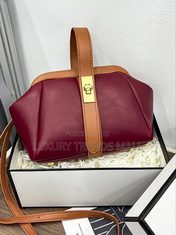 Luxury Classy Outing Bag