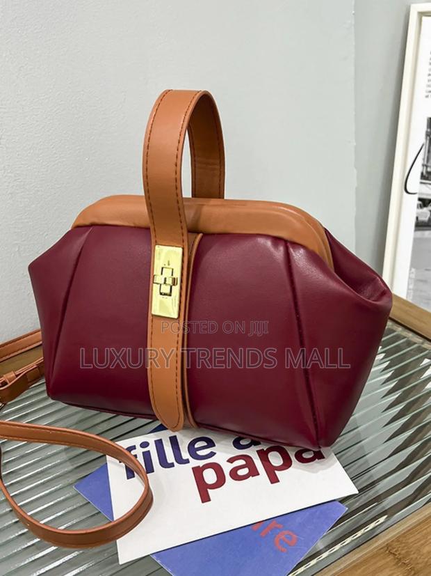 Luxury Classy Outing Bag photo 2