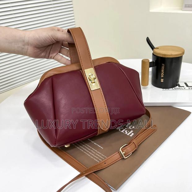 Luxury Classy Outing Bag photo 3