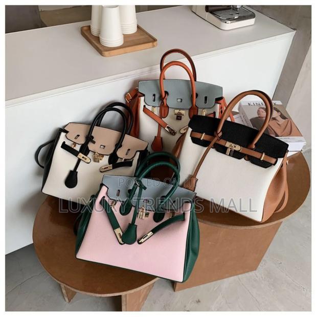 Premium Birkin-Inspired Ladies Handbag