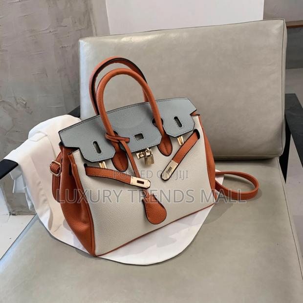 Premium Birkin-Inspired Ladies Handbag photo 3