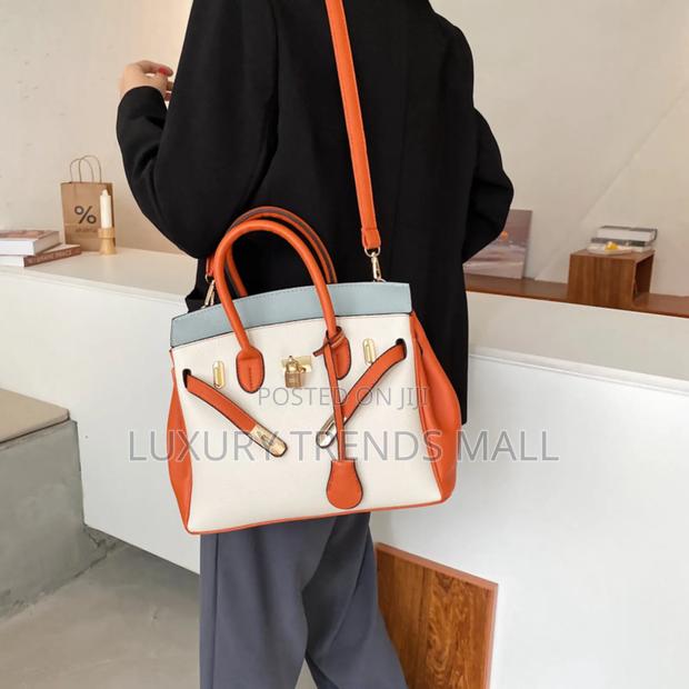 Premium Birkin-Inspired Ladies Handbag photo 5