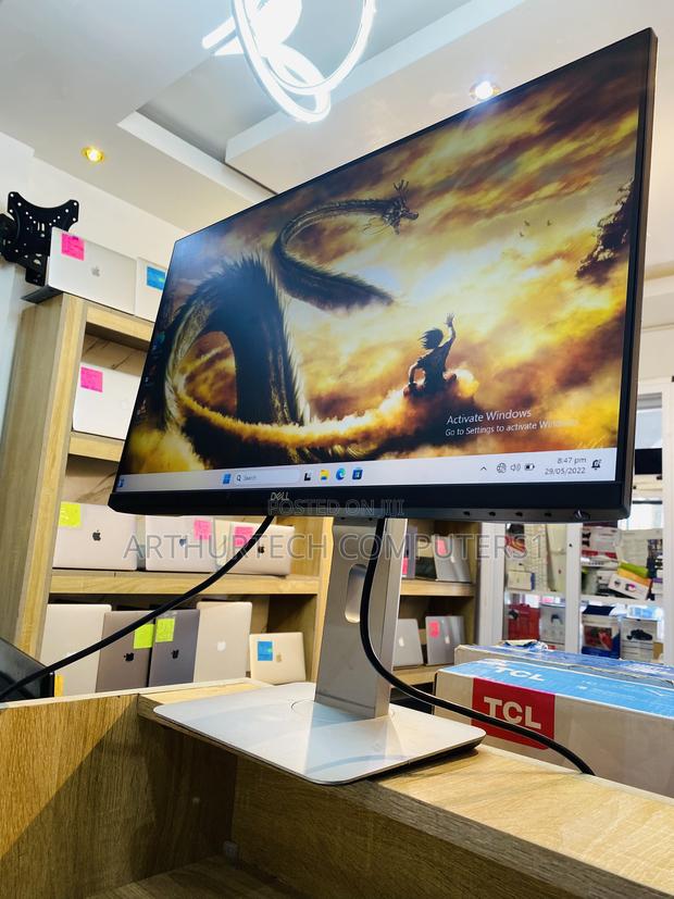 Dell Professional Monitor photo 3