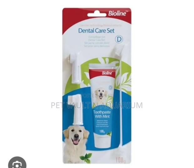 Dental Care for Dogs · Photo 2