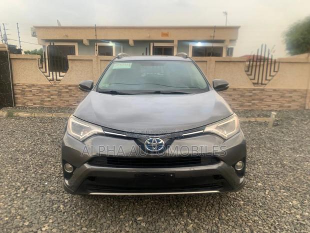 Toyota RAV4 XLE AWD (2.5L 4cyl 6A) 2016 Silver