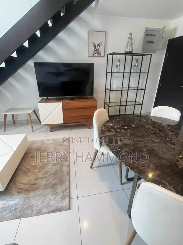 Furnished 2bdrm Apartment in Cantoment Round, Cantonments for sale · Photo 2