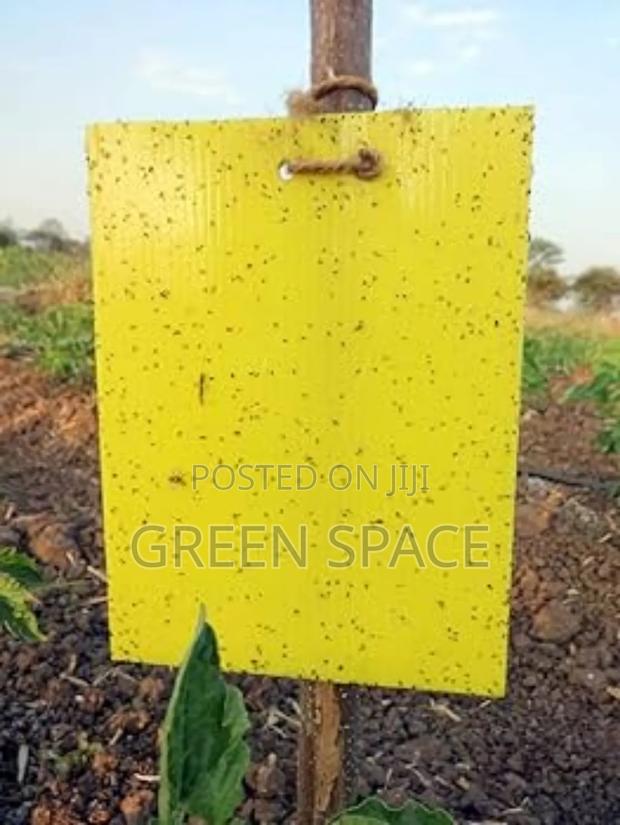 Yellow Sticky Pest Trap