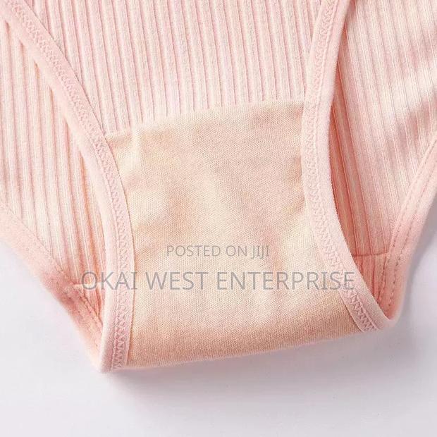 Ultra-Comfort Seamless Cotton Briefs for Ladies 3 Sets