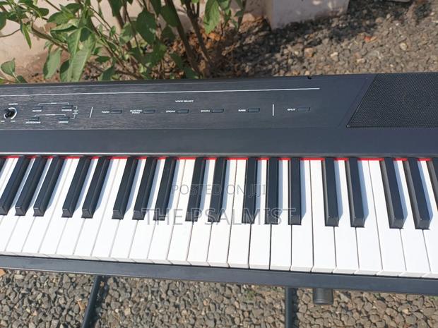 Alesis Recital 88keys Digital Piano photo 5