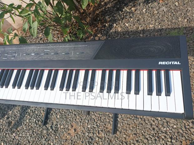 Alesis Recital 88keys Digital Piano photo 6