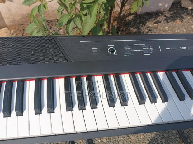 Alesis Recital 88keys Digital Piano photo 13