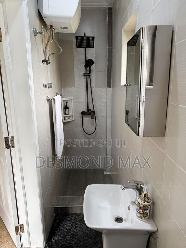Furnished 1bdrm Apartment in Max Realty, Dzorwulu for rent photo 9