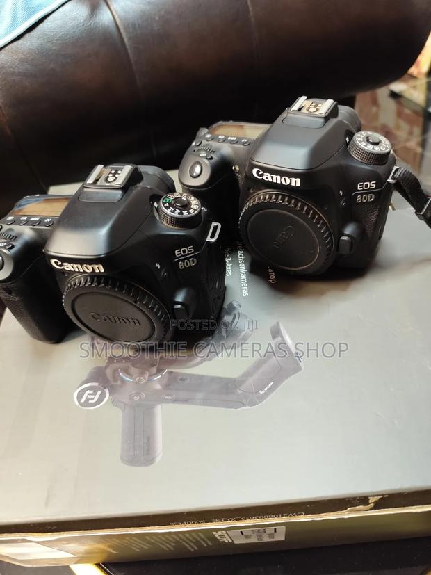 Googo Cameras And Lenses From Native Canon Company photo 2