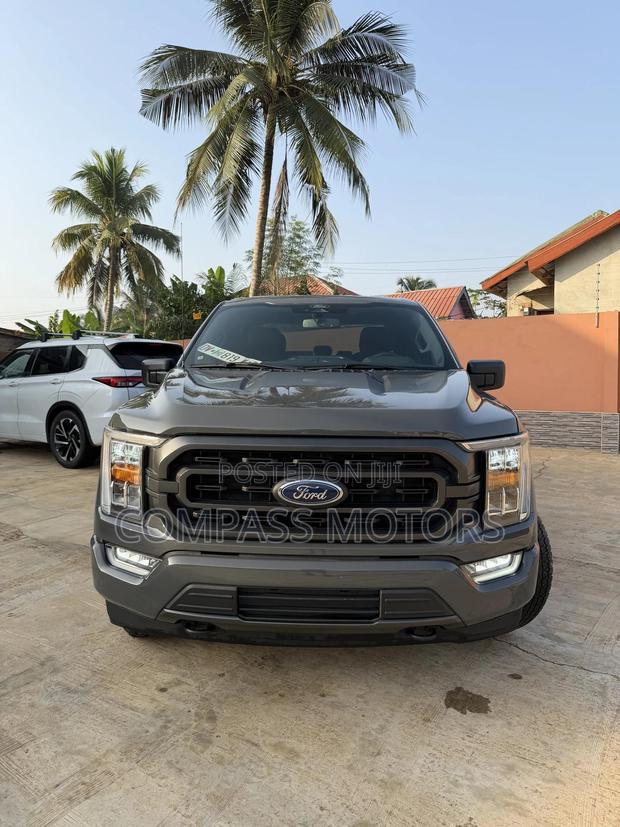 Ford F-150 XLT 2021 Gray