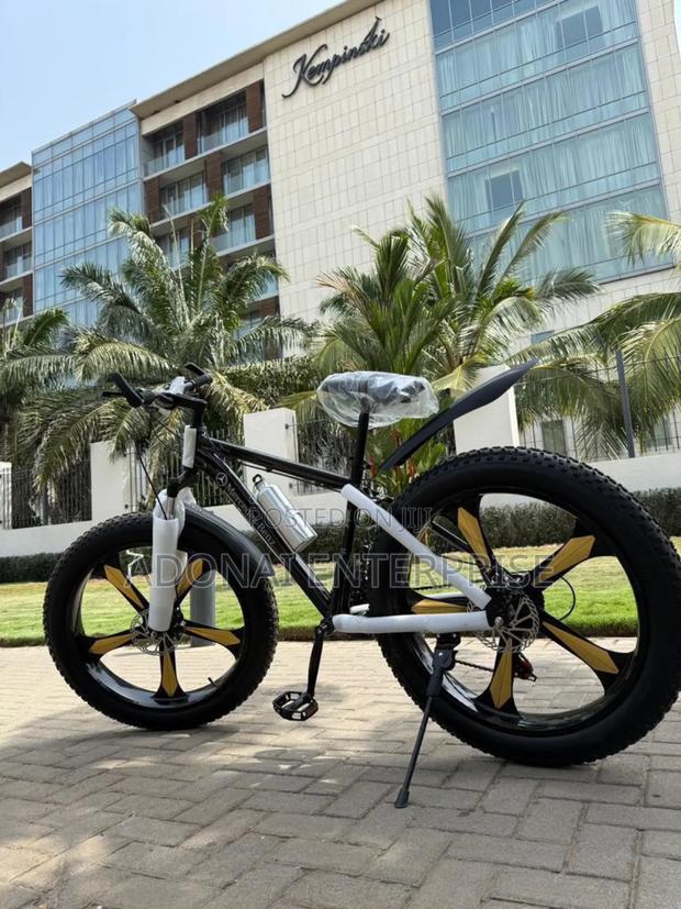 Fat Tyre Bicycle Snook