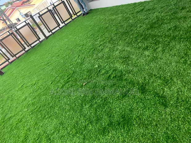 Original Astroturf photo 2