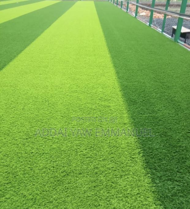 Fifa Approved Astroturf photo 3