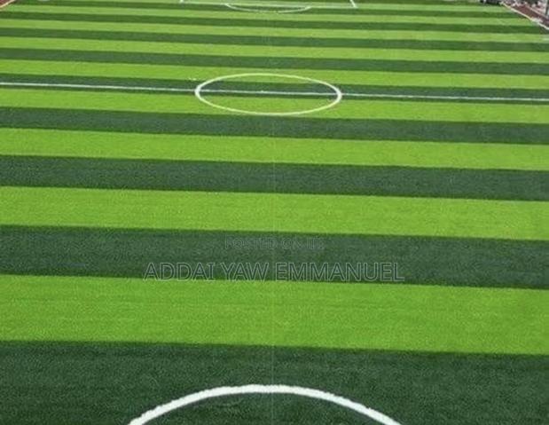 Fifa Approved Astroturf photo 2