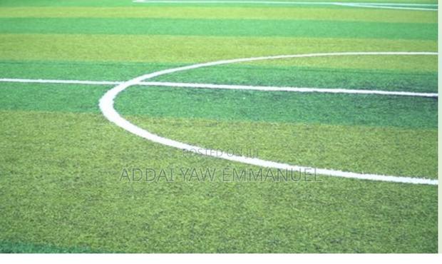 Fifa Approved Astroturf photo 11