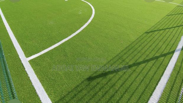 Fifa Approved Astroturf photo 12