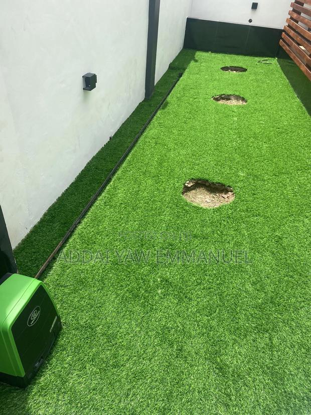 Original Astroturf photo 3