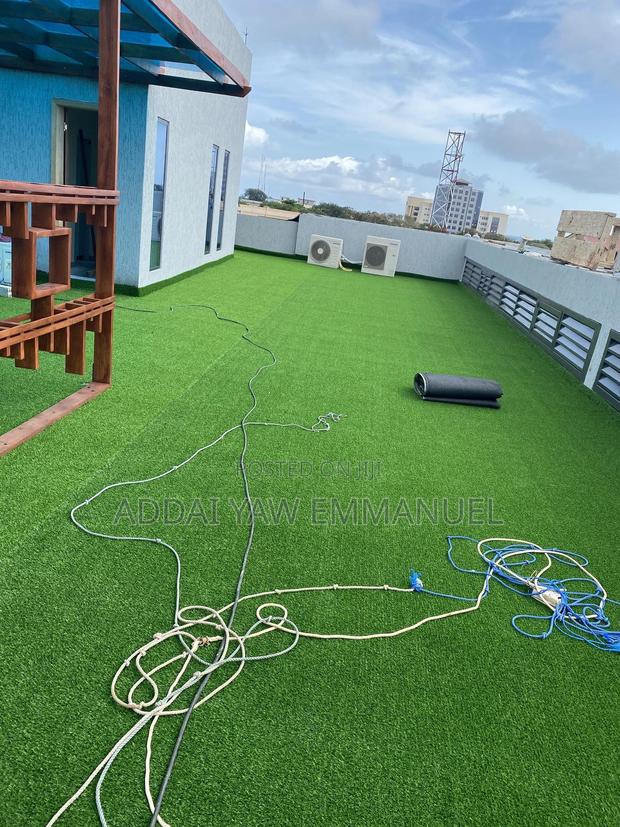Original Astroturf photo 5
