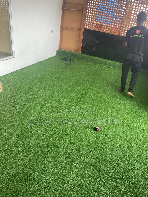 Original Astroturf photo 4