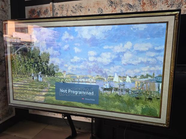 Lg Oled 65-inch photo 5