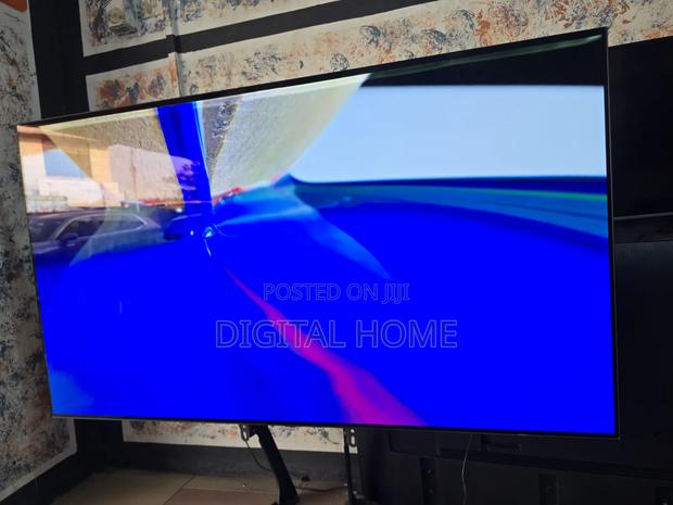 Lg Oled 65-inch photo 19